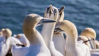 世界杯高清直播-球员经纪人最离谱的失误？忘记通知球队执行合同